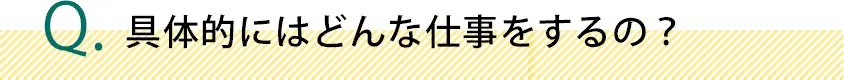 具体的にはどんな仕事をするの？